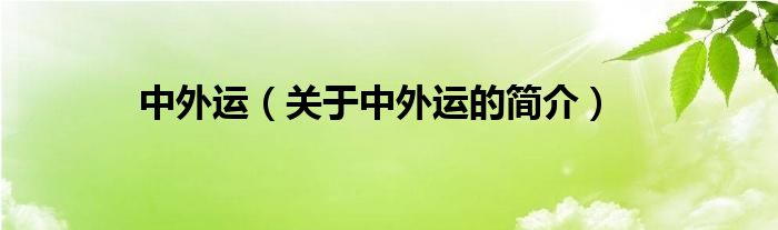 中外運(yùn)（關(guān)于中外運(yùn)的簡介）