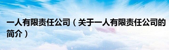 一人有限責(zé)任公司（關(guān)于一人有限責(zé)任公司的簡(jiǎn)介）