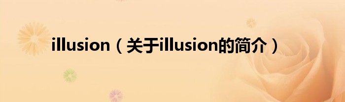 illusion（關(guān)于illusion的簡介）