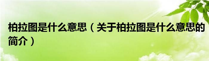 柏拉圖是什么意思（關于柏拉圖是什么意思的簡介）