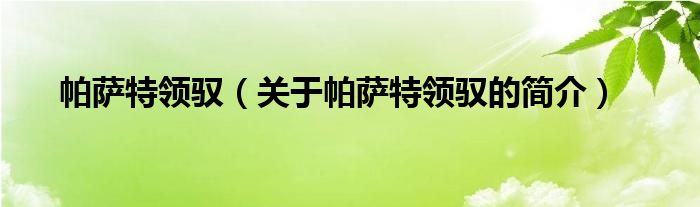 帕薩特領(lǐng)馭（關(guān)于帕薩特領(lǐng)馭的簡(jiǎn)介）