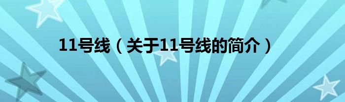 11號線（關(guān)于11號線的簡介）