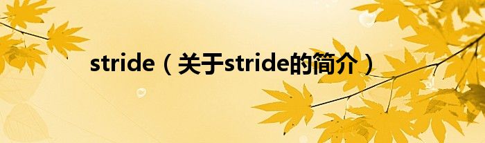 stride（關(guān)于stride的簡介）