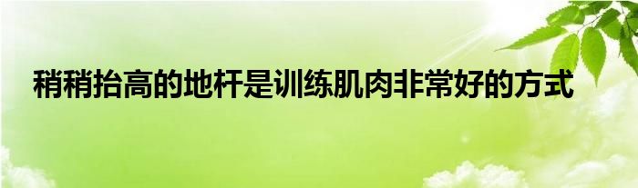 稍稍抬高的地桿是訓練肌肉非常好的方式