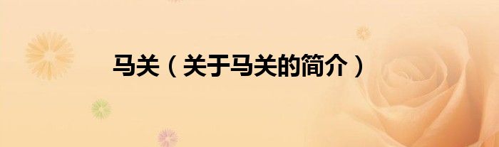 馬關(guān)（關(guān)于馬關(guān)的簡(jiǎn)介）