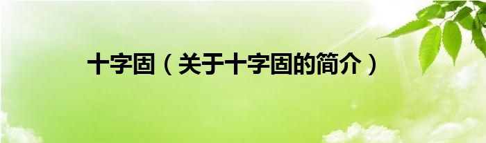 十字固（關(guān)于十字固的簡(jiǎn)介）