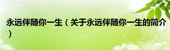 永遠(yuǎn)伴隨你一生（關(guān)于永遠(yuǎn)伴隨你一生的簡(jiǎn)介）