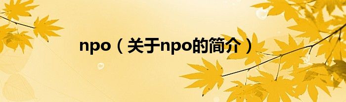 npo（關(guān)于npo的簡(jiǎn)介）