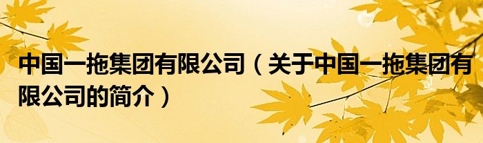 中國一拖集團有限公司（關(guān)于中國一拖集團有限公司的簡介）