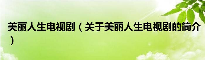 美麗人生電視?。P(guān)于美麗人生電視劇的簡介）