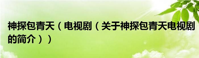 神探包青天（電視?。P(guān)于神探包青天電視劇的簡介））