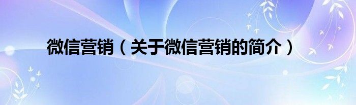 微信營銷（關(guān)于微信營銷的簡介）