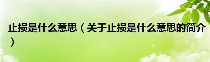 止損是什么意思（關(guān)于止損是什么意思的簡介）