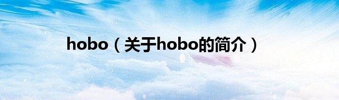 hobo（關(guān)于hobo的簡(jiǎn)介）