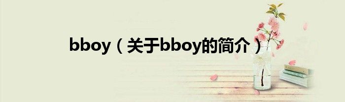 bboy（關(guān)于bboy的簡介）