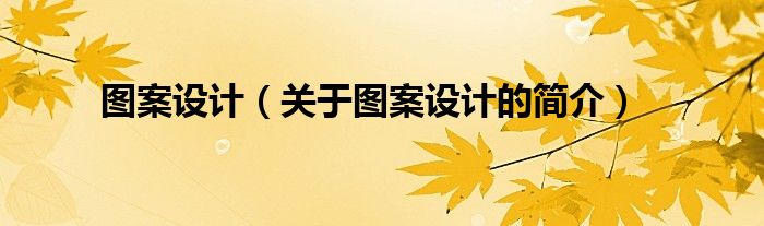 圖案設計（關于圖案設計的簡介）