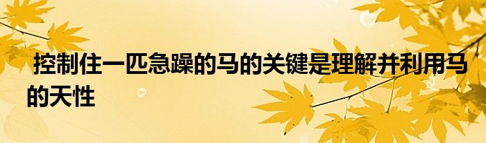  控制住一匹急躁的馬的關鍵是理解并利用馬的天性