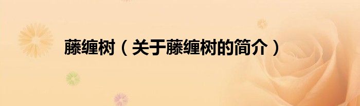 藤纏樹（關(guān)于藤纏樹的簡(jiǎn)介）