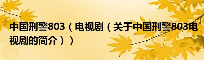 中國刑警803（電視?。P(guān)于中國刑警803電視劇的簡介））