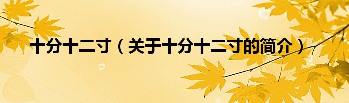 十分十二寸（關(guān)于十分十二寸的簡(jiǎn)介）