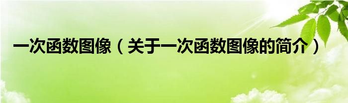 一次函數(shù)圖像（關(guān)于一次函數(shù)圖像的簡介）