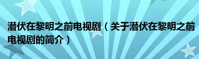 潛伏在黎明之前電視?。P(guān)于潛伏在黎明之前電視劇的簡(jiǎn)介）