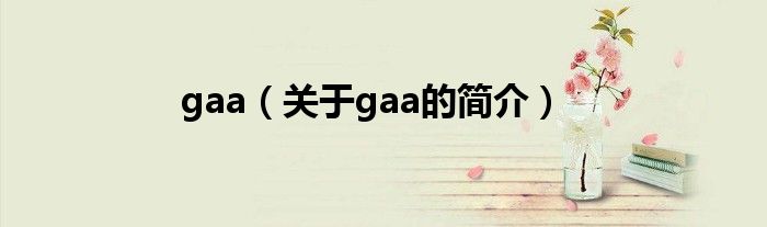 gaa（關(guān)于gaa的簡(jiǎn)介）