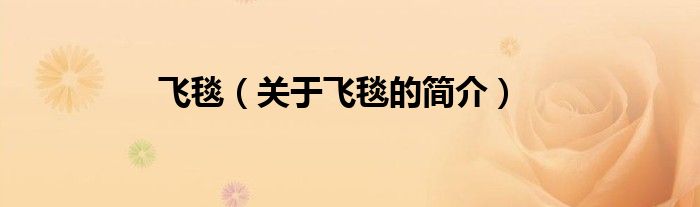 飛毯（關(guān)于飛毯的簡(jiǎn)介）