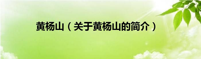 黃楊山（關(guān)于黃楊山的簡(jiǎn)介）