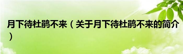 月下待杜鵑不來（關(guān)于月下待杜鵑不來的簡介）