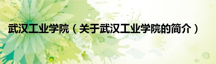 武漢工業(yè)學院（關于武漢工業(yè)學院的簡介）