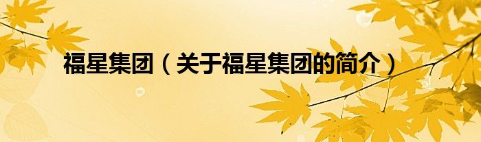 福星集團（關(guān)于福星集團的簡介）