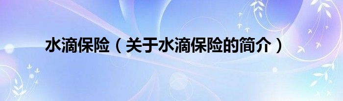 水滴保險（關于水滴保險的簡介）