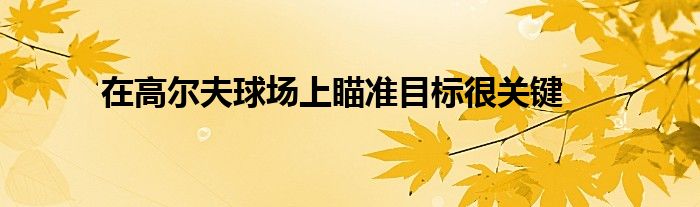 在高爾夫球場上瞄準目標很關鍵