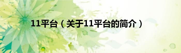 11平臺(tái)（關(guān)于11平臺(tái)的簡介）