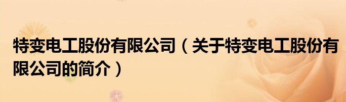 特變電工股份有限公司（關(guān)于特變電工股份有限公司的簡(jiǎn)介）