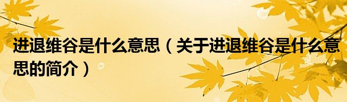 進退維谷是什么意思（關于進退維谷是什么意思的簡介）