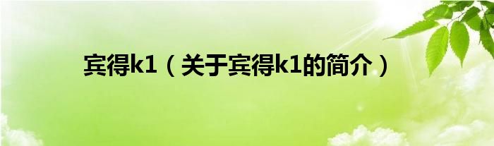 賓得k1（關(guān)于賓得k1的簡(jiǎn)介）