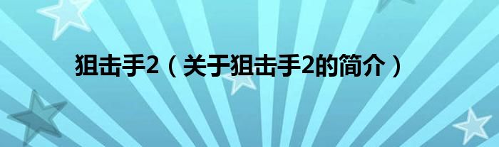 狙擊手2（關(guān)于狙擊手2的簡(jiǎn)介）