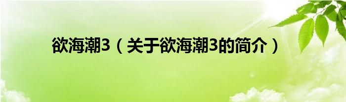 欲海潮3（關(guān)于欲海潮3的簡介）