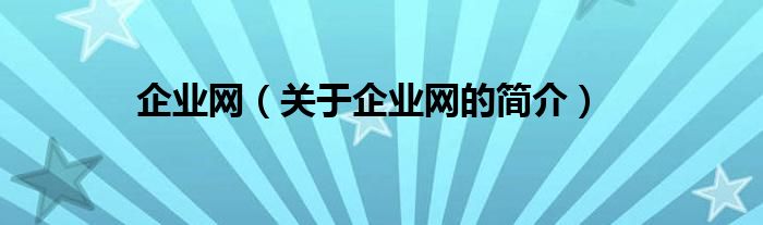 企業(yè)網(wǎng)（關(guān)于企業(yè)網(wǎng)的簡(jiǎn)介）