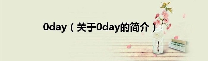 0day（關于0day的簡介）