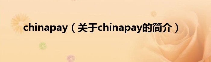 chinapay（關于chinapay的簡介）