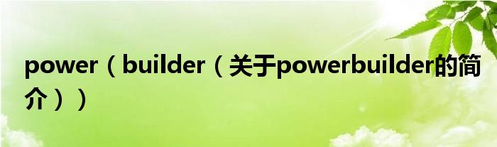 power（builder（關(guān)于powerbuilder的簡介））