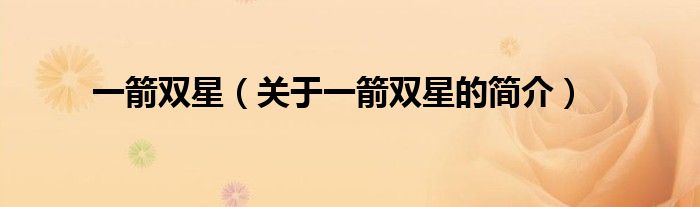 一箭雙星（關(guān)于一箭雙星的簡(jiǎn)介）