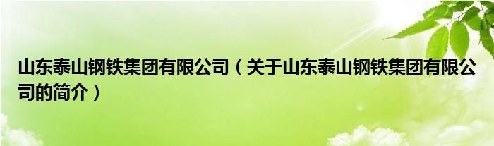 山東泰山鋼鐵集團有限公司（關(guān)于山東泰山鋼鐵集團有限公司的簡介）