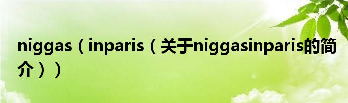 niggas（inparis（關(guān)于niggasinparis的簡介））