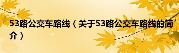 53路公交車路線（關于53路公交車路線的簡介）