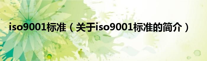 iso9001標(biāo)準(zhǔn)（關(guān)于iso9001標(biāo)準(zhǔn)的簡(jiǎn)介）