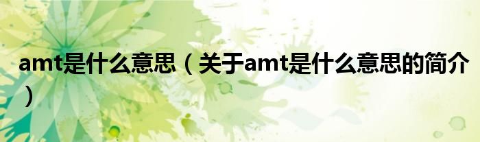 amt是什么意思（關于amt是什么意思的簡介）